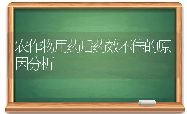 农作物用药后药效不佳的原因分析 | 养殖技术大全