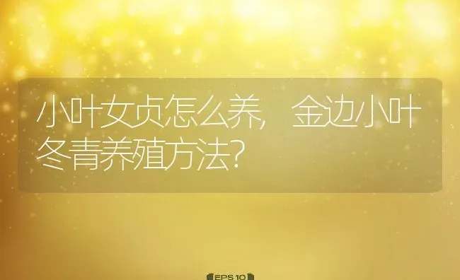 小叶女贞怎么养,金边小叶冬青养殖方法？ | 养殖科普