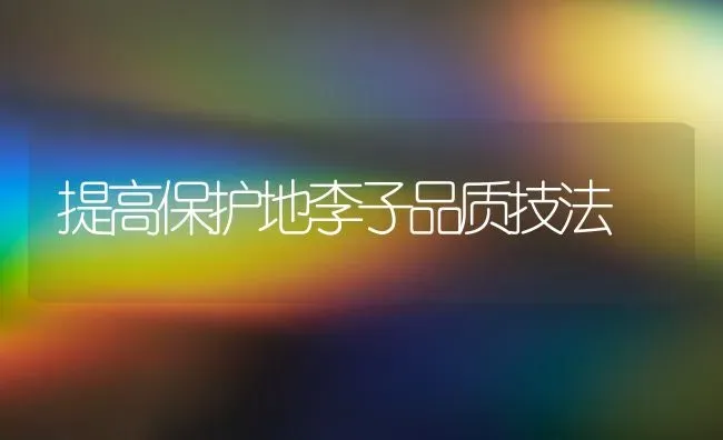 提高保护地李子品质技法 | 养殖知识