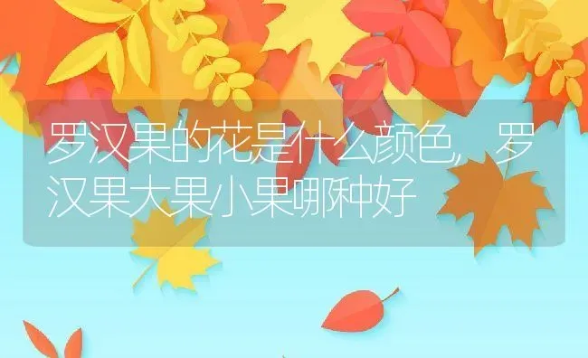 罗汉果的花是什么颜色,罗汉果大果小果哪种好 | 养殖学堂