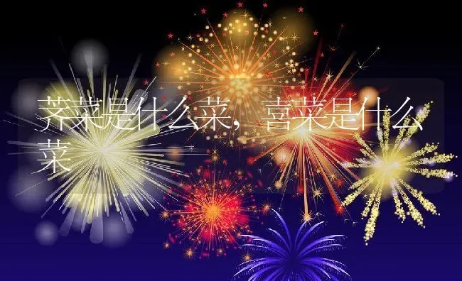 荠菜是什么菜,喜菜是什么菜 | 养殖学堂