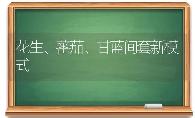 花生、蕃茄、甘蓝间套新模式 | 养殖技术大全