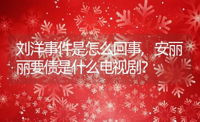 刘洋事件是怎么回事,安丽丽要债是什么电视剧？ | 养殖学堂