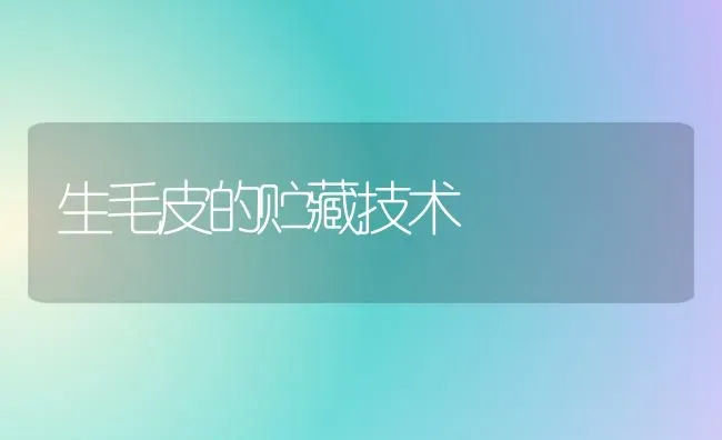 生毛皮的贮藏技术 | 养殖技术大全