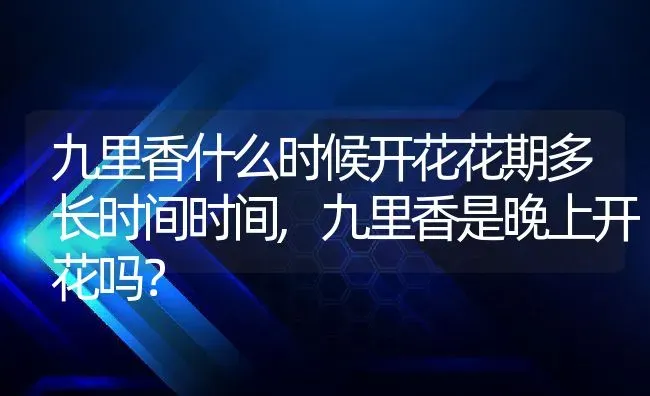 九里香什么时候开花花期多长时间时间,九里香是晚上开花吗？ | 养殖科普