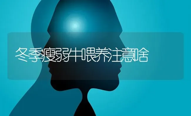 冬季瘦弱牛喂养注意啥 | 养殖技术大全