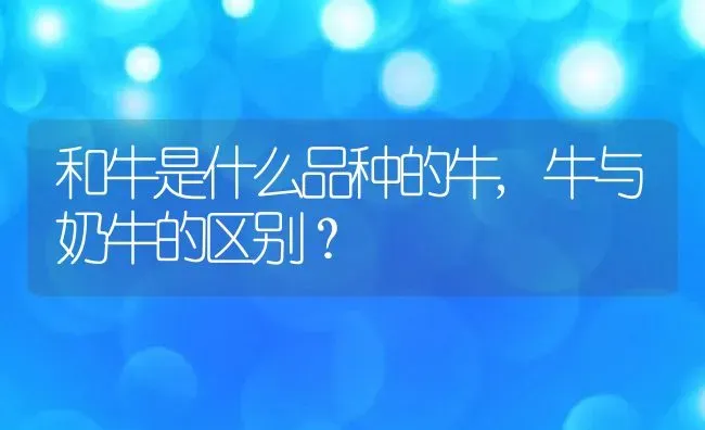 和牛是什么品种的牛,牛与奶牛的区别？ | 养殖科普