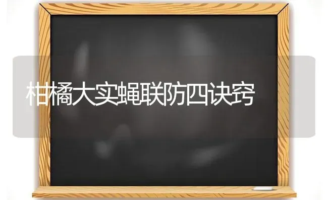 柑橘大实蝇联防四诀窍 | 养殖知识