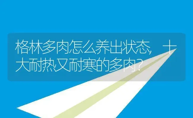 格林多肉怎么养出状态,十大耐热又耐寒的多肉？ | 养殖科普