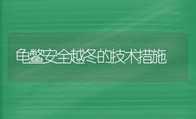 龟鳖安全越冬的技术措施 | 养殖技术大全