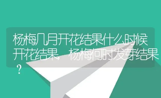 杨梅几月开花结果什么时候开花结果,杨梅何时发芽结果？ | 养殖科普