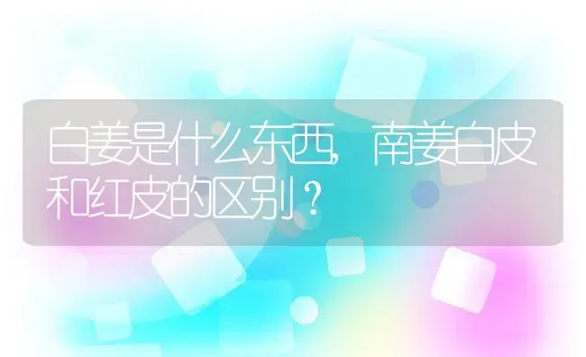 白姜是什么东西,南姜白皮和红皮的区别？ | 养殖科普