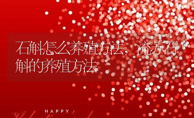 石斛怎么养殖方法,流苏石斛的养殖方法 | 养殖学堂