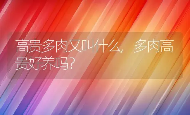 高贵多肉又叫什么,多肉高贵好养吗？ | 养殖科普