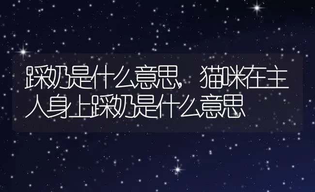踩奶是什么意思,猫咪在主人身上踩奶是什么意思 | 养殖科普
