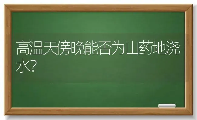 高温天傍晚能否为山药地浇水? | 养殖技术大全