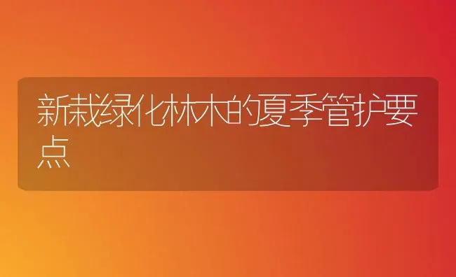 新栽绿化林木的夏季管护要点 | 养殖知识