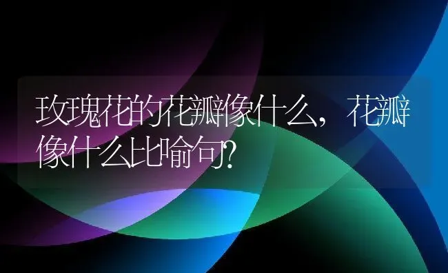 玫瑰花的花瓣像什么,花瓣像什么比喻句？ | 养殖科普