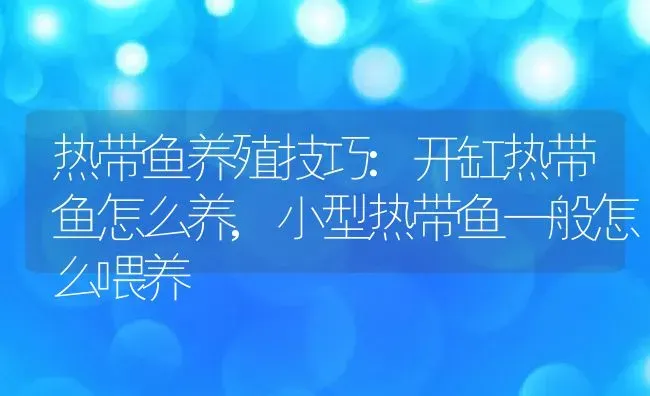 热带鱼养殖技巧:开缸热带鱼怎么养,小型热带鱼一般怎么喂养 | 养殖学堂