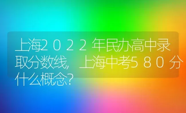 上海2022年民办高中录取分数线,上海中考580分什么概念？ | 养殖科普