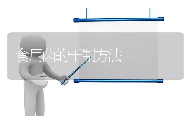 食用菌的干制方法 | 养殖技术大全