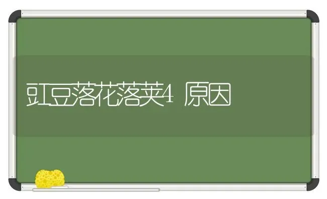 豇豆落花落荚4原因 | 养殖技术大全