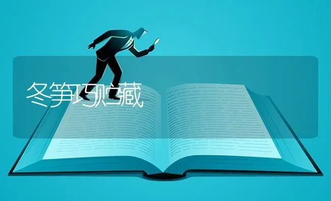 冬笋巧贮藏 | 养殖知识