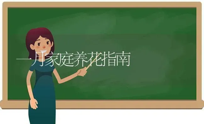 一月家庭养花指南 | 养殖知识