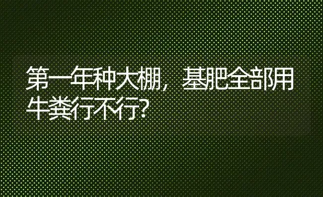 第一年种大棚,基肥全部用牛粪行不行? | 养殖知识