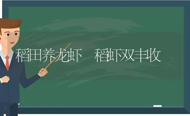 稻田养龙虾 稻虾双丰收 | 养殖知识