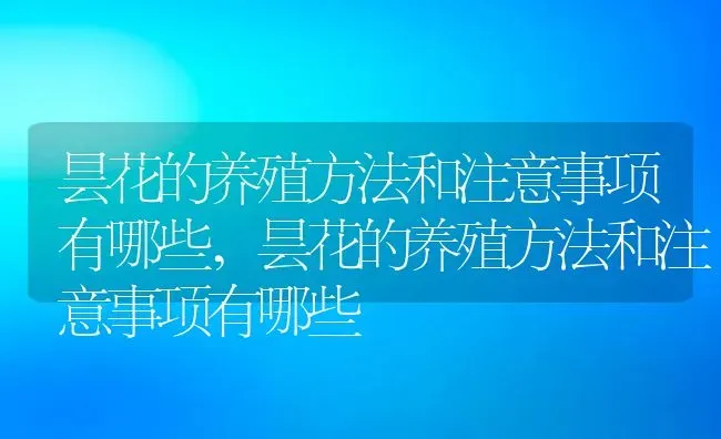 昙花的养殖方法和注意事项有哪些,昙花的养殖方法和注意事项有哪些 | 养殖科普