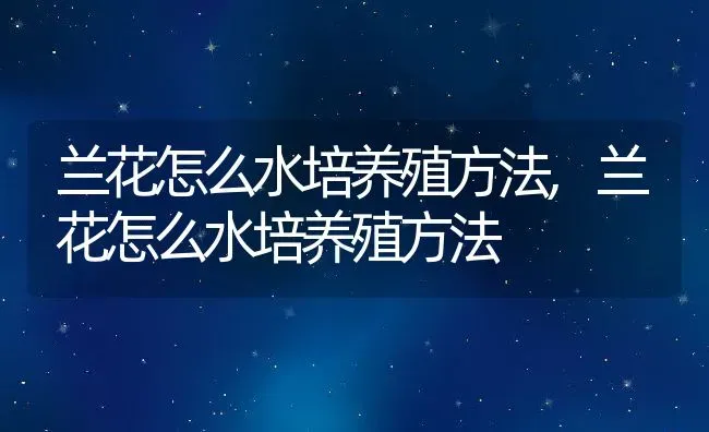 兰花怎么水培养殖方法,兰花怎么水培养殖方法 | 养殖科普