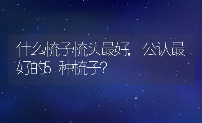 什么梳子梳头最好,公认最好的5种梳子？ | 养殖科普