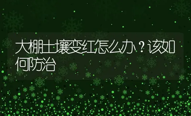 大棚土壤变红怎么办?该如何防治 | 养殖技术大全