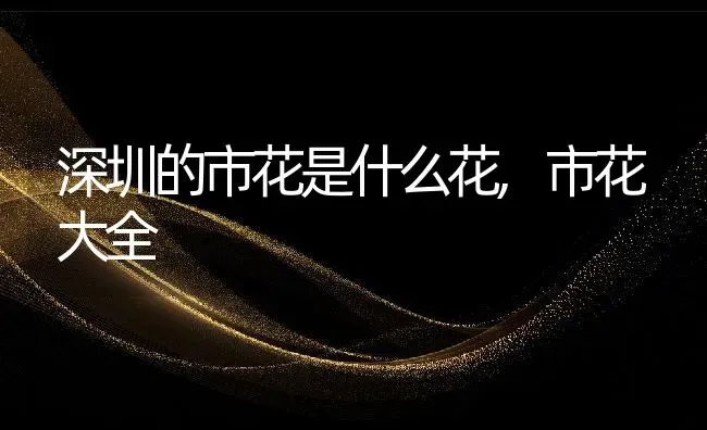 深圳的市花是什么花,市花大全 | 养殖学堂