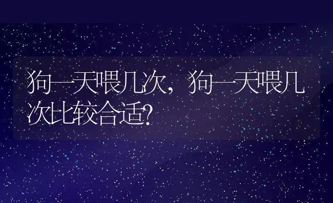 狗一天喂几次,狗一天喂几次比较合适? | 养殖科普