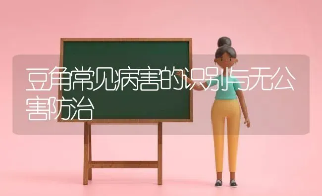 豆角常见病害的识别与无公害防治 | 养殖技术大全