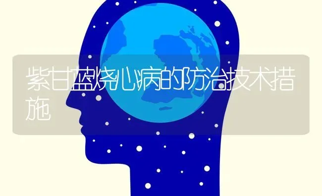 紫甘蓝烧心病的防治技术措施 | 养殖技术大全