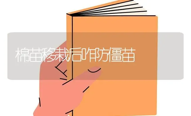 棉苗移栽后咋防僵苗 | 养殖技术大全
