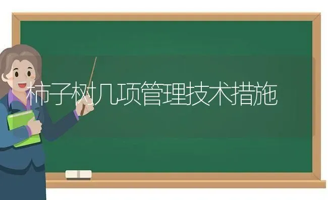 柿子树几项管理技术措施 | 养殖技术大全