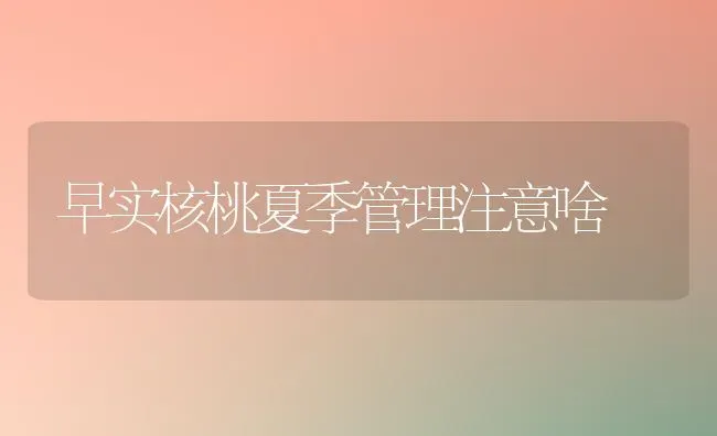 早实核桃夏季管理注意啥 | 养殖技术大全