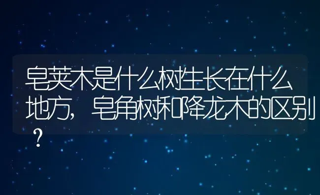 皂荚木是什么树生长在什么地方,皂角树和降龙木的区别？ | 养殖科普