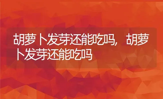 胡萝卜发芽还能吃吗,胡萝卜发芽还能吃吗 | 养殖科普