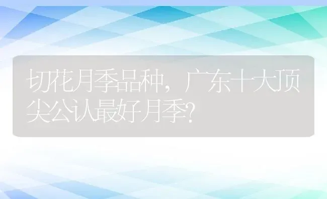 切花月季品种,广东十大顶尖公认最好月季？ | 养殖科普