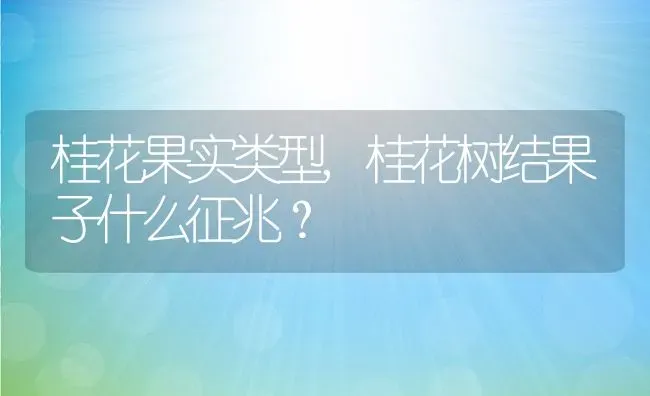 桂花果实类型,桂花树结果子什么征兆？ | 养殖科普