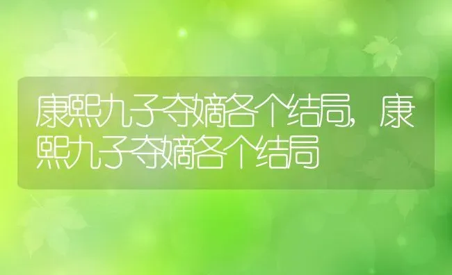 康熙九子夺嫡各个结局,康熙九子夺嫡各个结局 | 养殖学堂