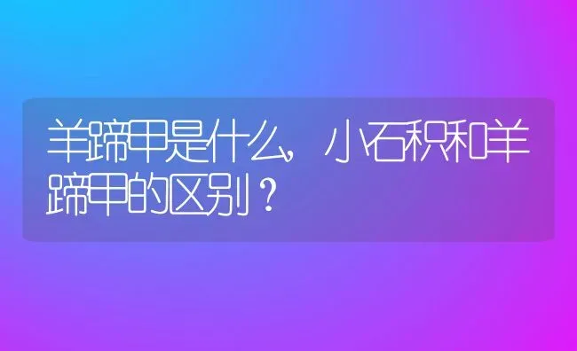 羊蹄甲是什么,小石积和羊蹄甲的区别？ | 养殖科普