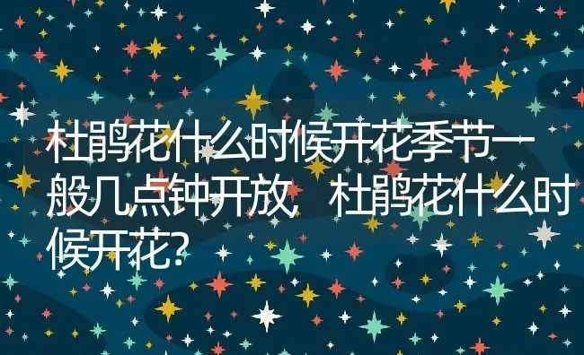 杜鹃花什么时候开花季节一般几点钟开放,杜鹃花什么时候开花？ | 养殖科普