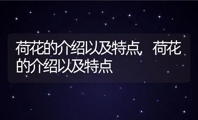 荷花的介绍以及特点,荷花的介绍以及特点 | 养殖科普