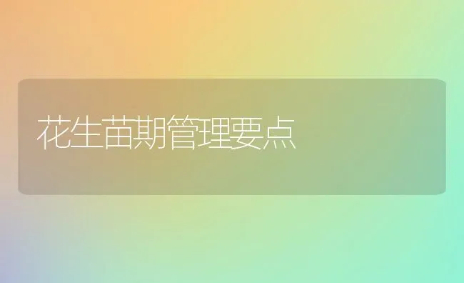 花生苗期管理要点 | 养殖知识